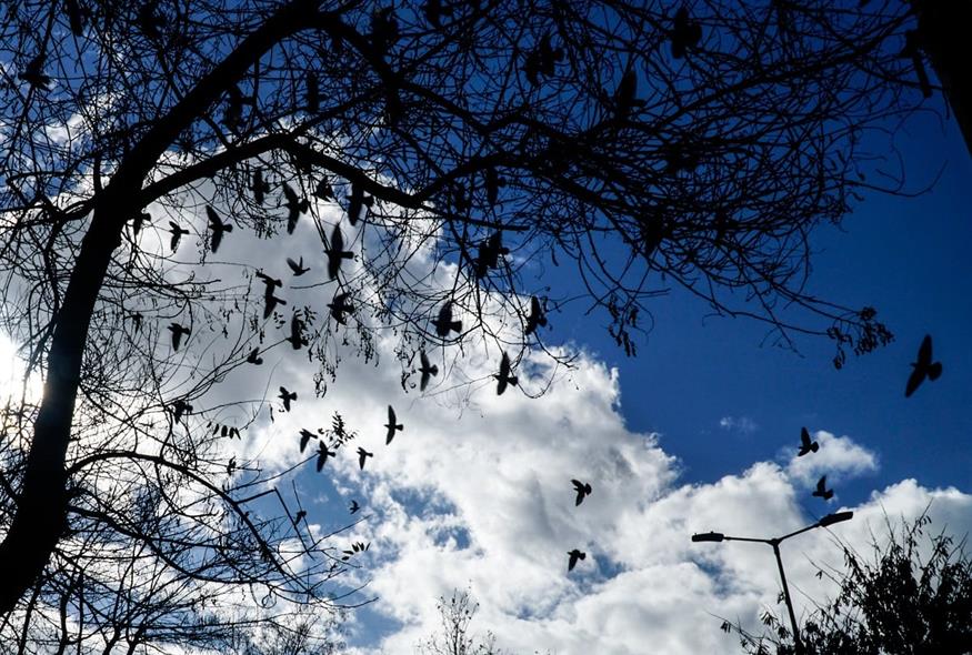 Μείωση ανέμων και πρόγνωση κακοκαιρίας στην Ελλάδα